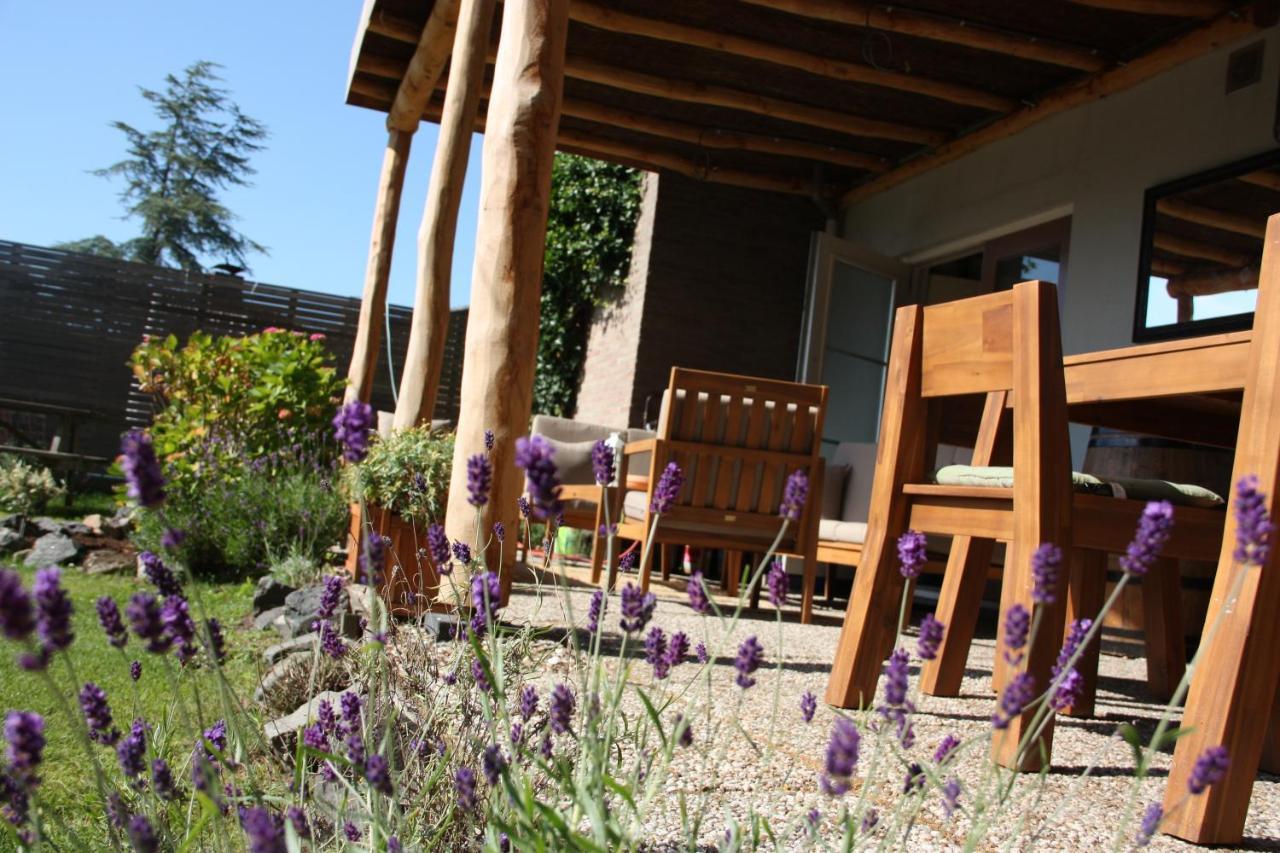 Maison Bellefleur B&B - Pension Renesse Kültér fotó
