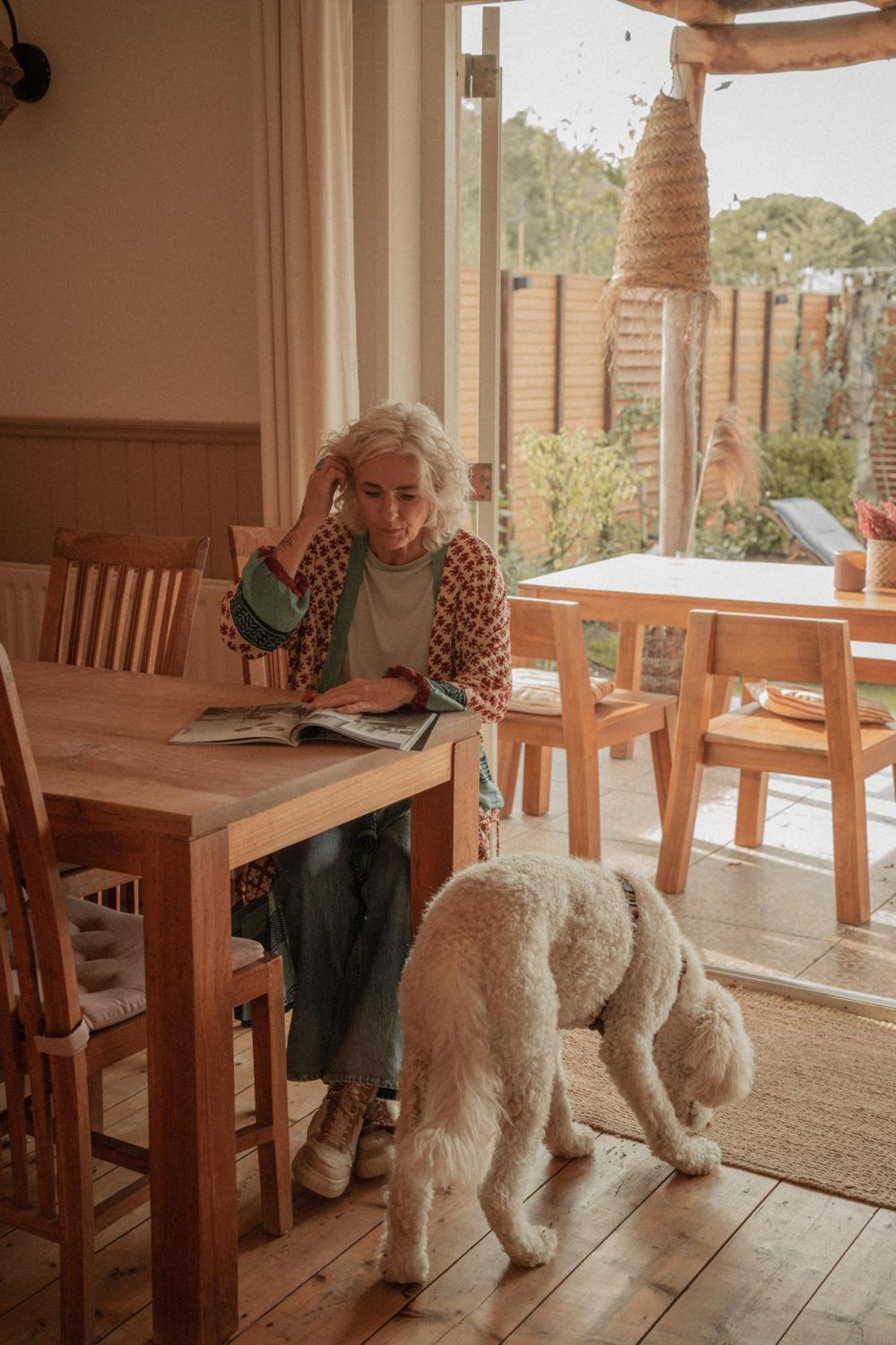 Maison Bellefleur B&B - Pension Renesse Kültér fotó