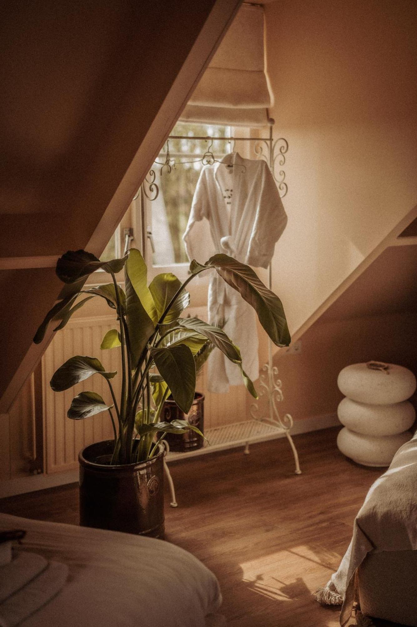 Maison Bellefleur B&B - Pension Renesse Kültér fotó